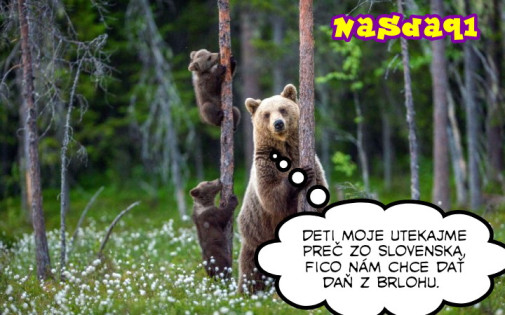 Príspevok 222158